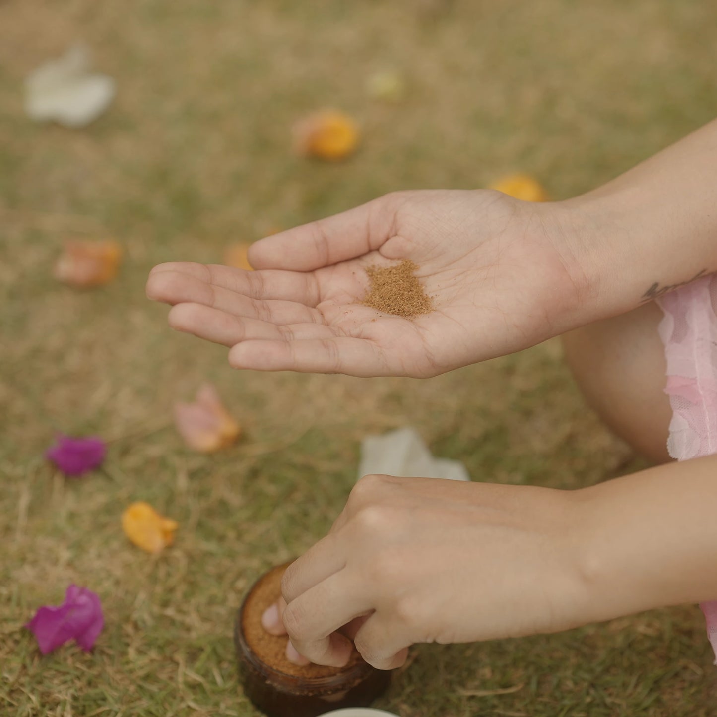 Luminous Lotus: Snow Lotus, Kaempferia, Basil, Orange & Lentils: Facial Ubtan